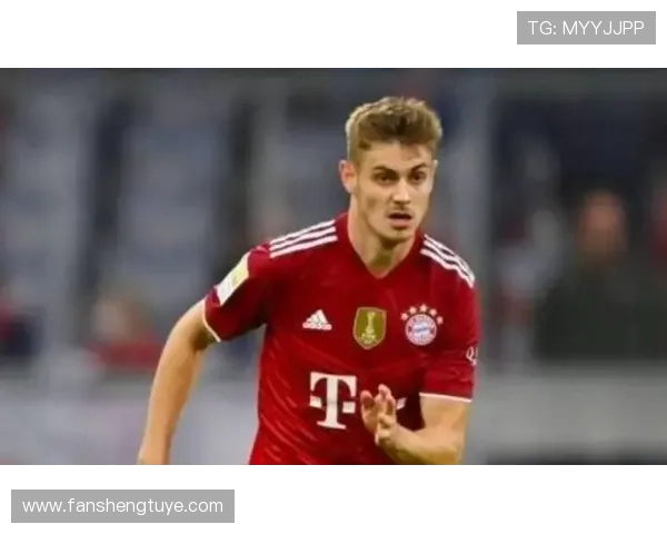 德媒斯塔尼希奇训练受踩无大碍