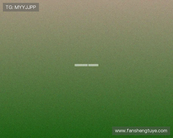 费内巴切报价罗伯逊 选举前谈判暂停